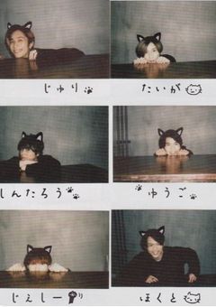 猫人格と赤ちゃん人格　。