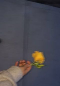 僕が僕じゃないみたいだ
