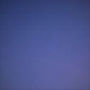 紫
