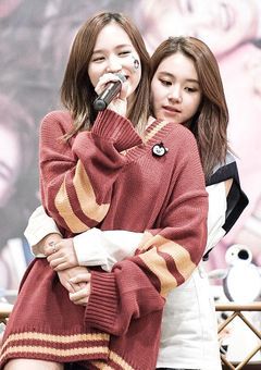 🐧 × 🐯
