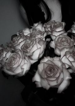 0時、白薔薇の庭で。