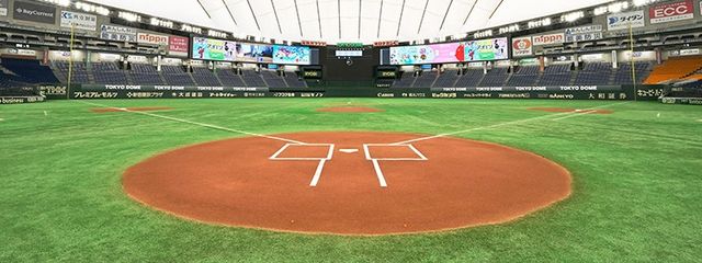 みんとさんの壁紙画像