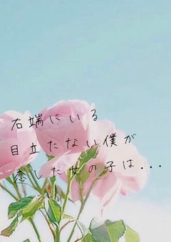 右端にいる目立たない僕が恋した女の子は...