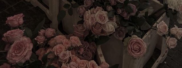 maron 🎀🤍さんの壁紙画像