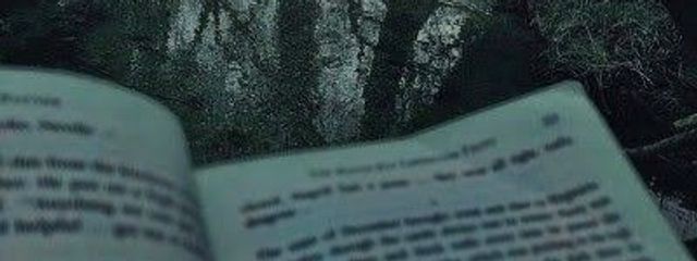 あおいさんの壁紙画像