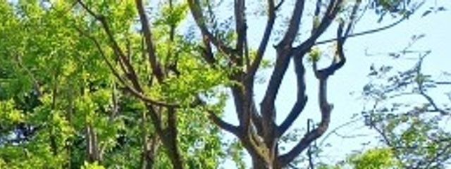 頭良くなりたい。さんの壁紙画像