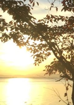 闇堕ち優等生と入れ替わった件。＿prsk