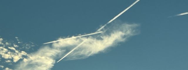 さくら。さんの壁紙画像