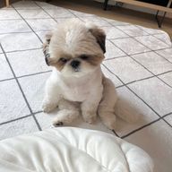 이브さんのアイコン画像