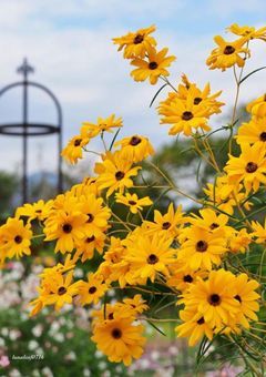 Mybouquet