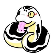 ノルマさんのアイコン画像