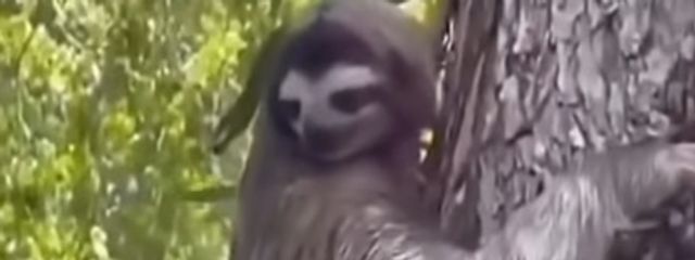 流鬼さんの壁紙画像