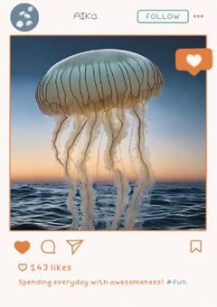 透明な世界で君達に恋をした