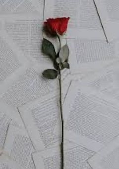 🌹zb1 BL短編集🌹