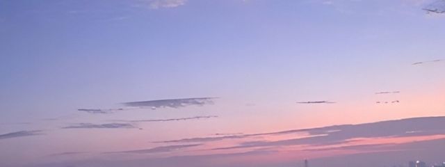 ノユ💫さんの壁紙画像