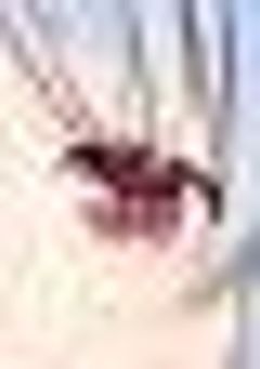 ...シスコンの兄姉ども...散れや【参加型】