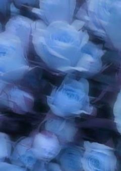 大嫌いだったはずなのに