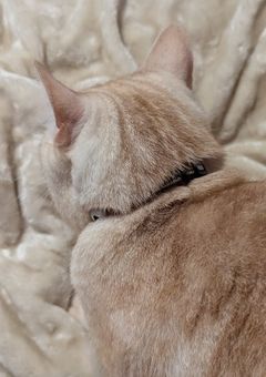 リクエスト募集します‼️