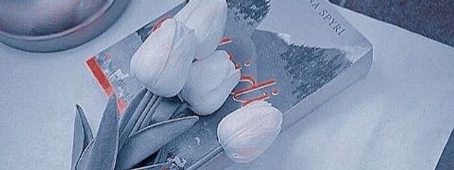 芹 奈 さんの壁紙画像