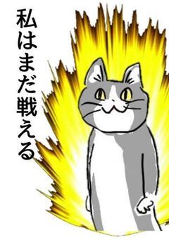 あきの闘病(？)記