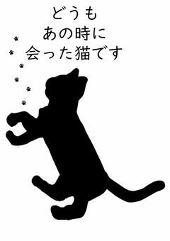 どうも、あの時の猫です