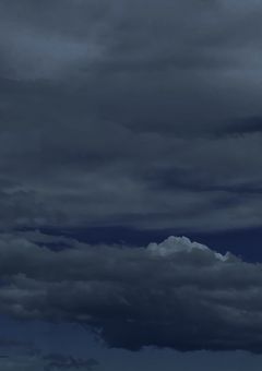 無 敵 の 少 女 は 妖 精 族 の 子 。 