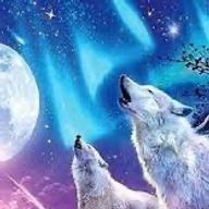 ホカルさんのアイコン画像