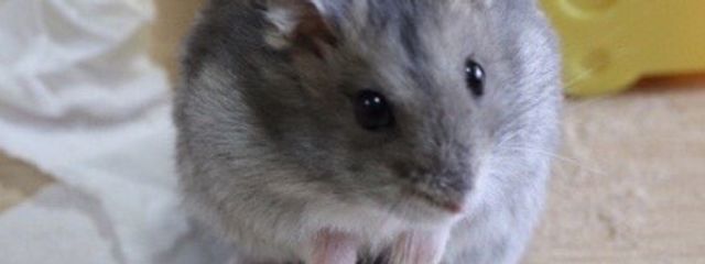 ななし。さんの壁紙画像