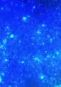 大 切 な 人 ＿＿ .