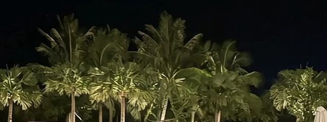 みことさんの壁紙画像