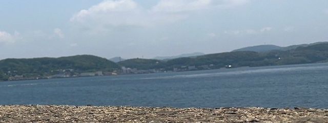 想いを込めてさんの壁紙画像