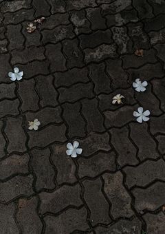 クラスのすみっこくん