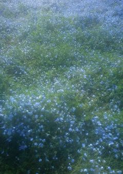 お料理教室の先輩