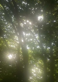 世話の焼ける塾生たち