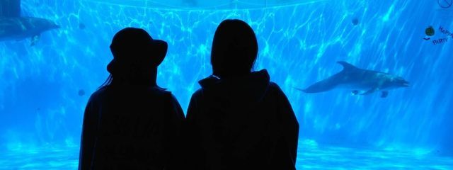  幸さんの壁紙画像