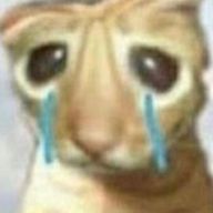 mdynさんのアイコン画像