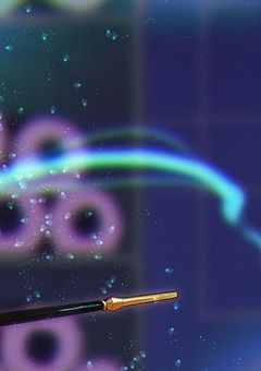 ▸▸　同僚には興味ないんです。