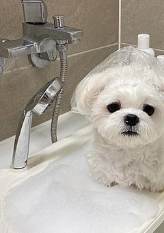 俺 ら の 最 年 長 は “　3 歳 児 の 子 犬 さ ん　”