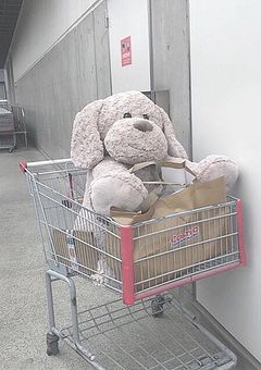 深澤家の愛され担当
