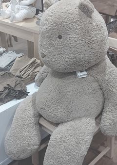 目黒は病弱です