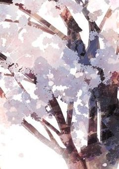 　♡" 刀 剣 乱 舞　【 桜 花 爛 漫 】