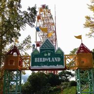 SYORAさんのアイコン画像