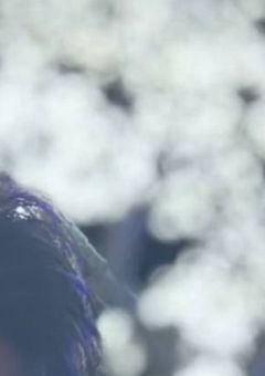 先生、好きです。