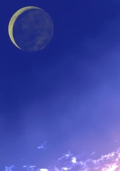 転生したので、オタクは全員生存ルート作るため尽力します【デスノート】