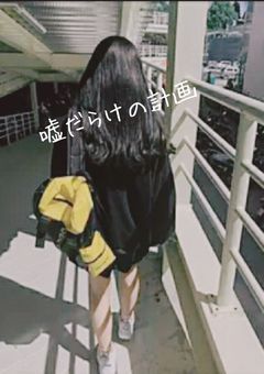 嘘だらけの計画