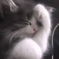 はぐみさんのアイコン画像