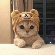 汐乃さんのアイコン画像