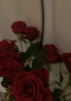 今夜は家で  ＿＿