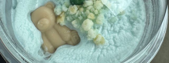 yuki*さんの壁紙画像