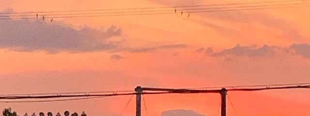 せんさんの壁紙画像